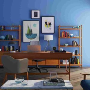 I will create Afro-modern interior decor mood boards and plans
